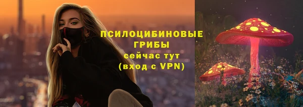 спайс Баксан