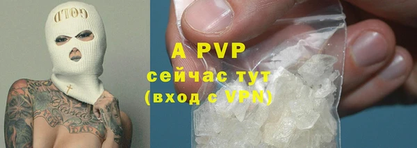 спайс Баксан