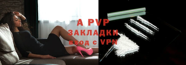 спайс Баксан