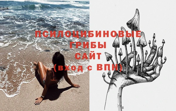 спайс Баксан