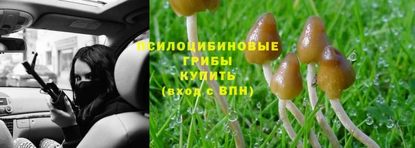 apvp Балахна