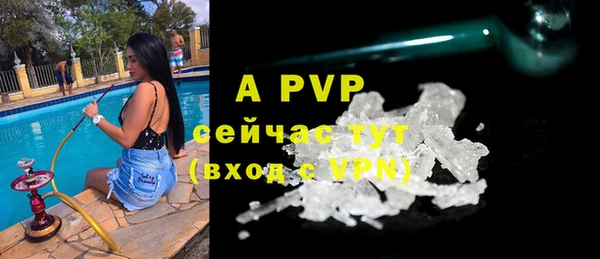 спайс Баксан